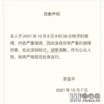 罗昌平是谁(罗昌平说了什么)