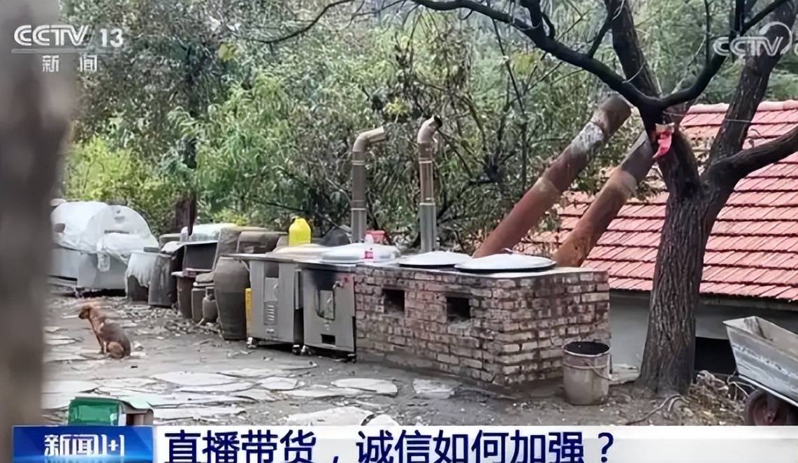 平台出手!东北雨姐再迎噩耗,4位明星终出口恶气