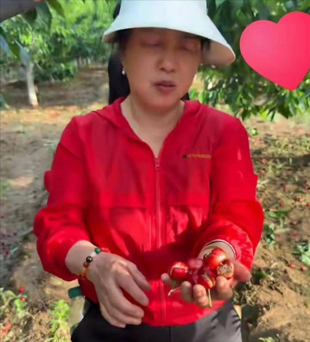 李雨禅刑拘后续:封号后果农含泪曝新细节,民事追责启动
