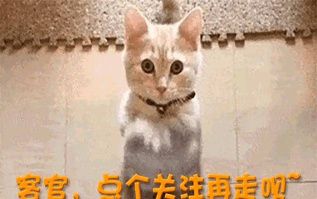 白鹿风波升级:发十万红包收买路人?真相令人深思