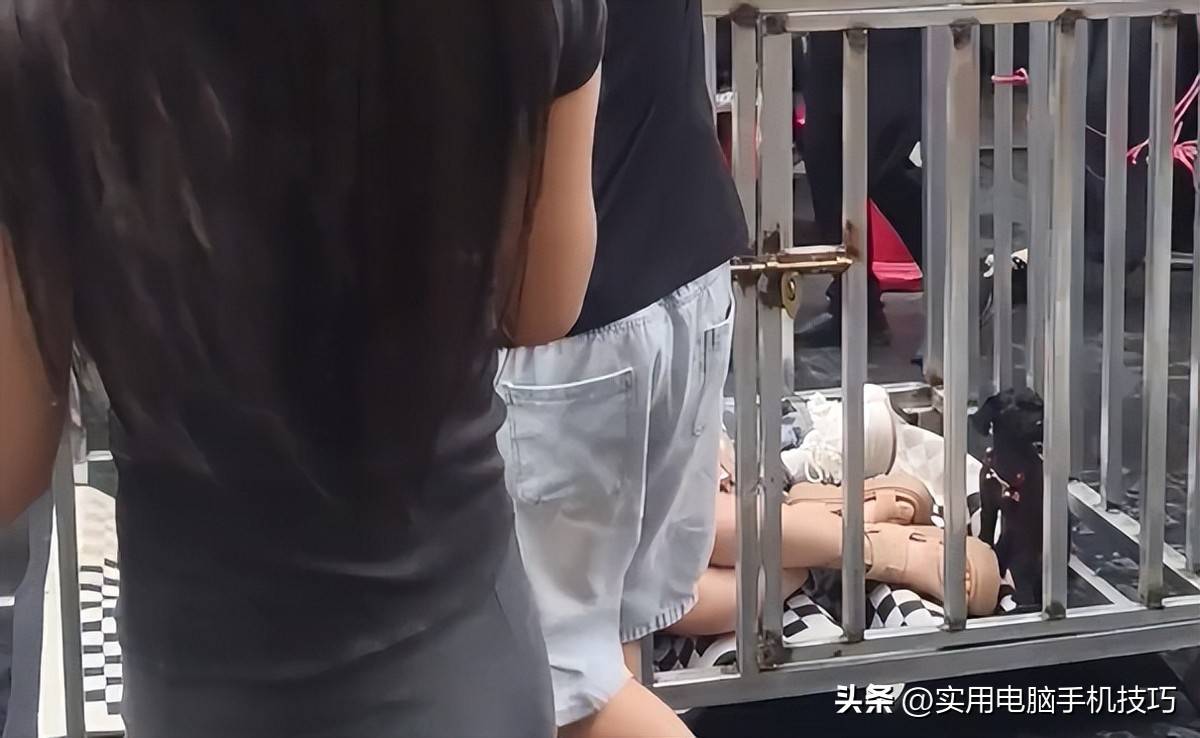 湖南女子笼中羞辱后续:8人全被刑拘