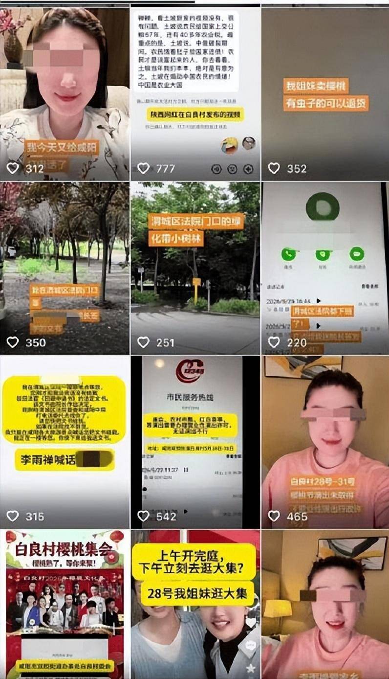 李雨禅刑拘后续:封号后果农含泪曝新细节,民事追责启动