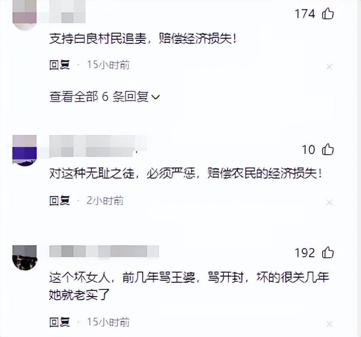李雨禅刑拘后续:封号后果农含泪曝新细节,民事追责启动
