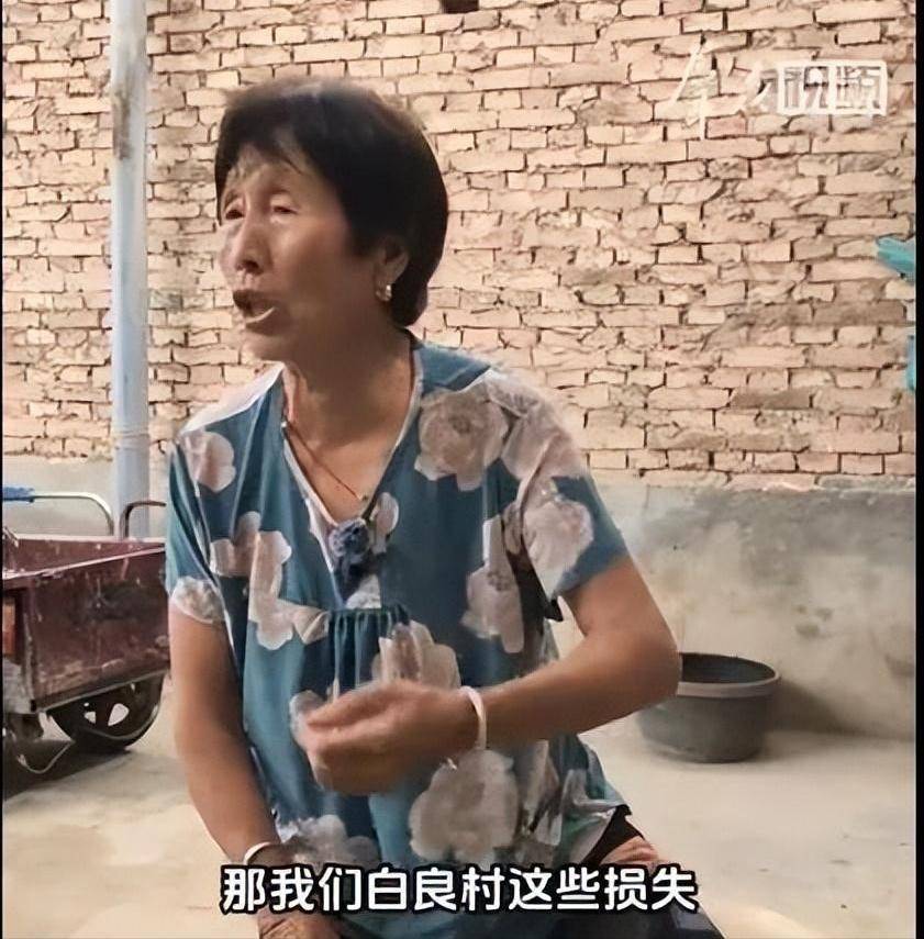 李雨禅刑拘后续:封号后果农含泪曝新细节,民事追责启动