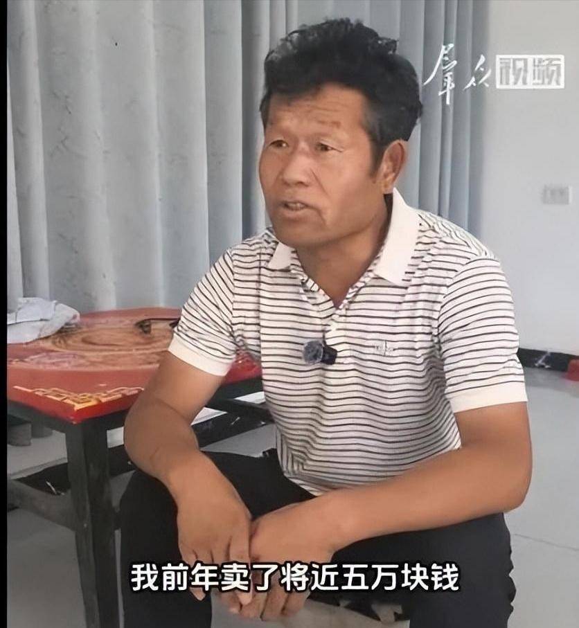 李雨禅刑拘后续:封号后果农含泪曝新细节,民事追责启动
