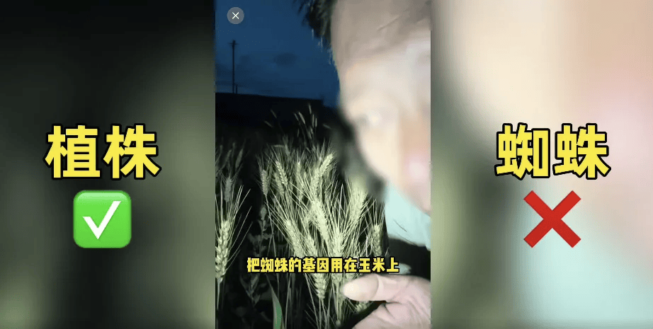 200万网红造谣袁隆平：杂交水稻害人？