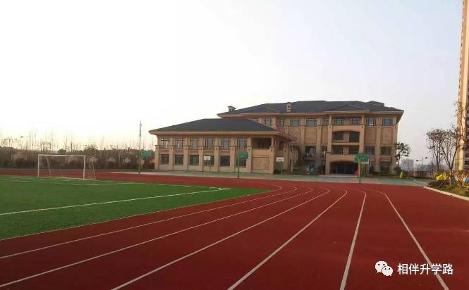 魔都国际学校PK:星河湾vs七宝德怀特