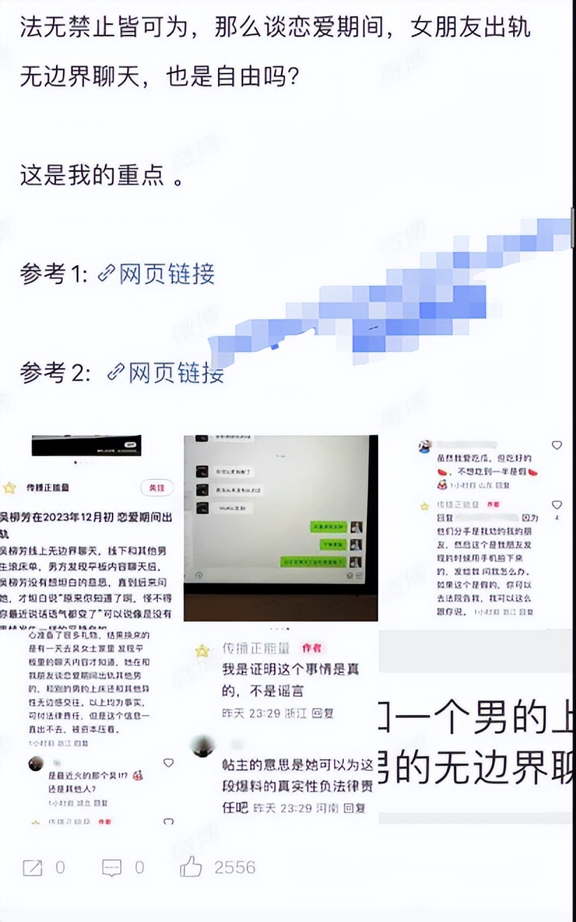 吴柳芳出轨风波：从体操冠军到失德艺人，令人唏嘘